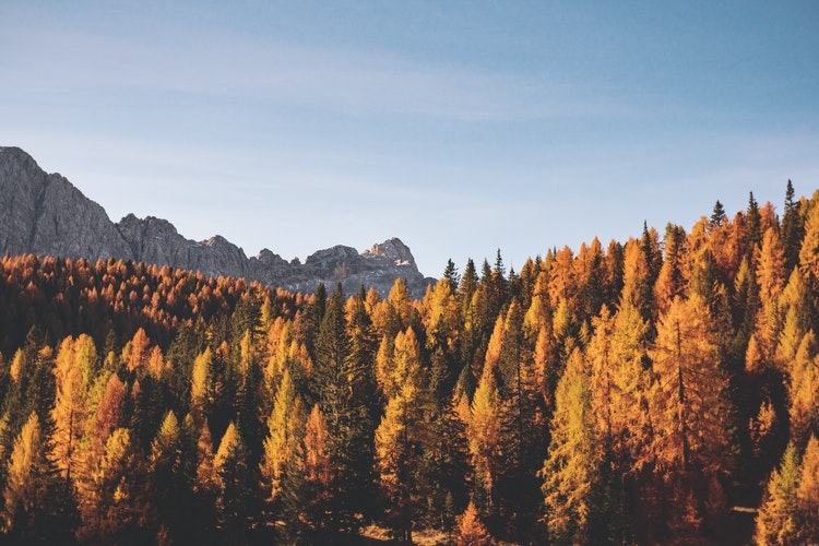 faire de ton automne un été 5-astuces-pour-faire-de-ton-automne-un-ete
